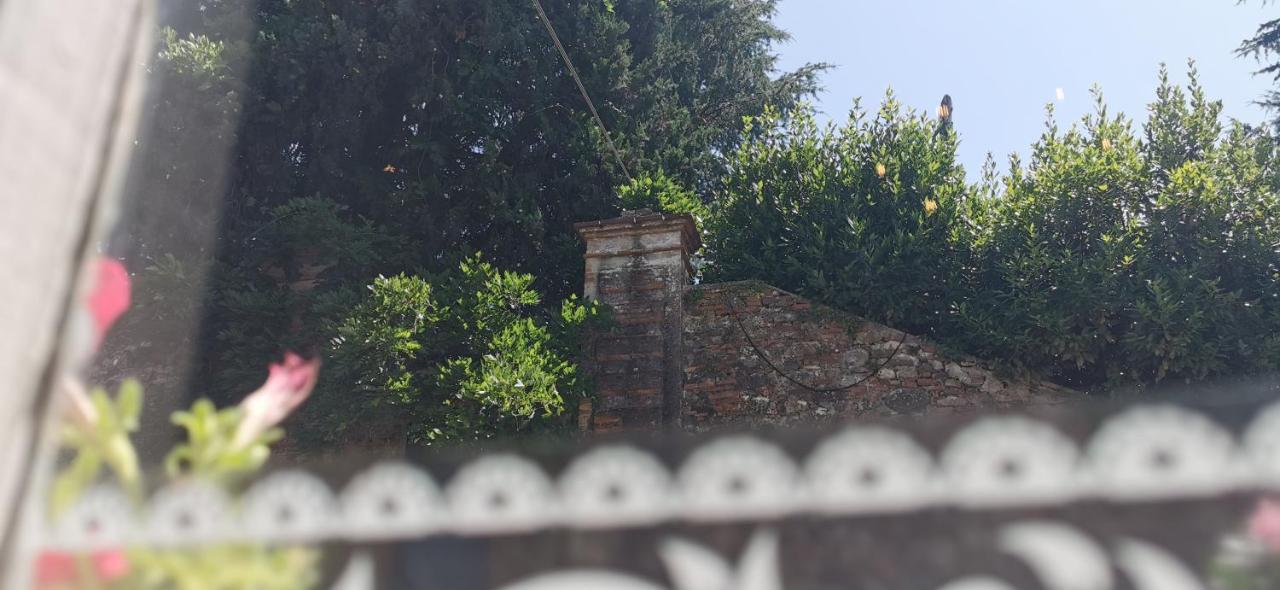 La Maison De Jardin Lucca Exteriér fotografie