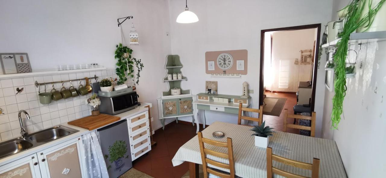 La Maison De Jardin Lucca Exteriér fotografie