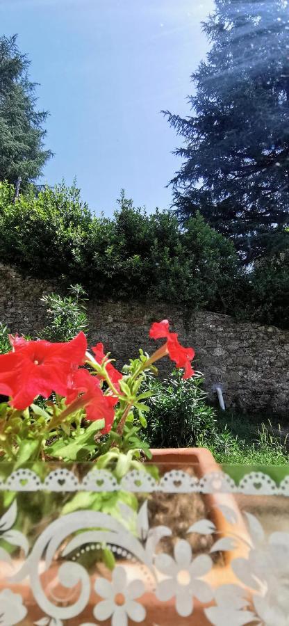 La Maison De Jardin Lucca Exteriér fotografie
