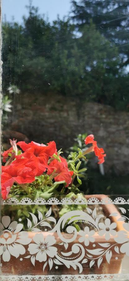 La Maison De Jardin Lucca Exteriér fotografie