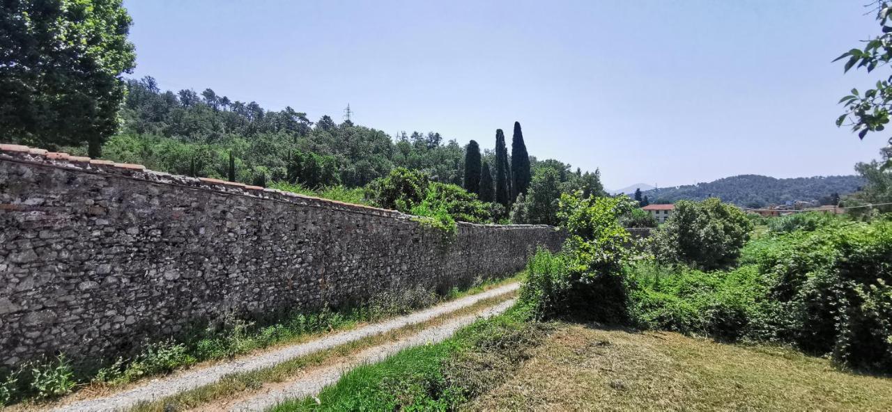 La Maison De Jardin Lucca Exteriér fotografie