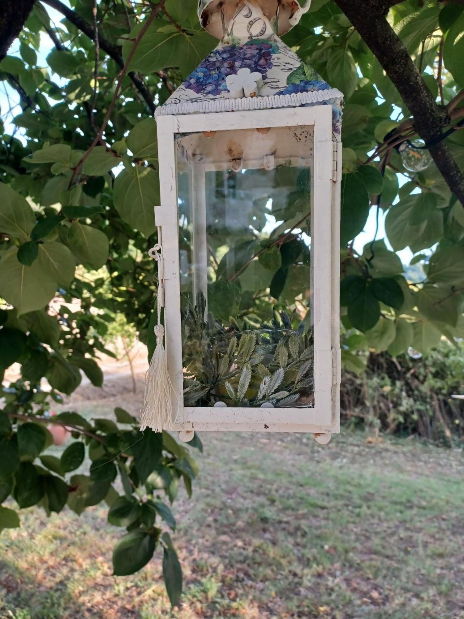 La Maison De Jardin Lucca Exteriér fotografie