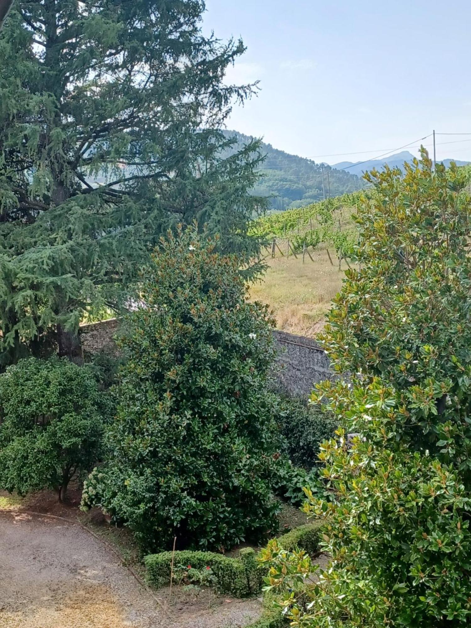 La Maison De Jardin Lucca Exteriér fotografie